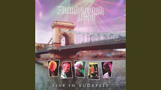 Captive Of Fate (Live)