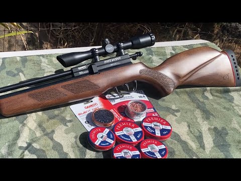 Gamo coyote whisper chronograph, accuracy @28 yards. 6 Crosman pellets and Gamo silent cats