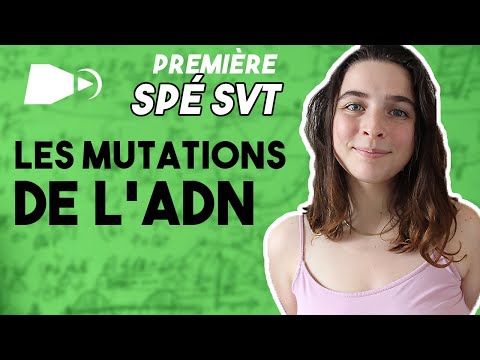 Mutations de l'ADN et variabilité génétique - 1ere SVT