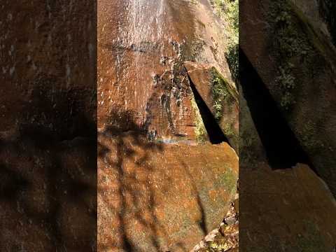 QUEDA DO RISCO (MORRO GRANDE SC)