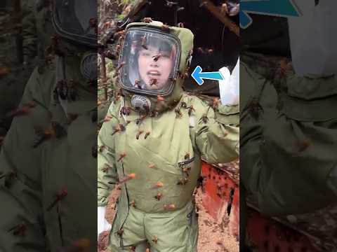 Bee Farming in China😢😮 | #shorts #shortsfeed #viralvideo