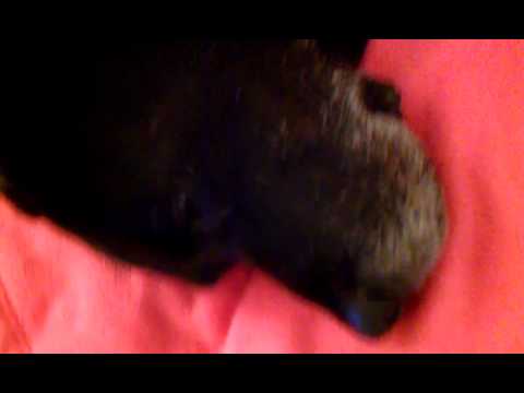 Helena- at the super 8 again