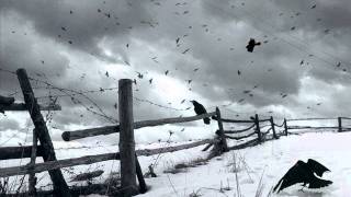 Haunting Birds - Agalloch