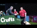 Hilarious Bloopers - The Doggie Highlights! | Crufts 2015