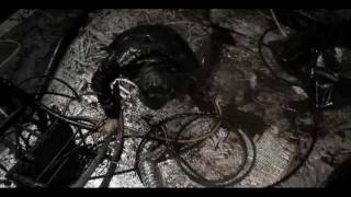 Subliminal Code - Muerto En Vida