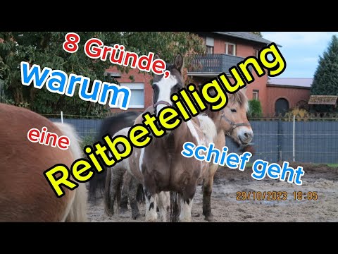 8 Gründe, warum eine Reitbeteiligung schief geht