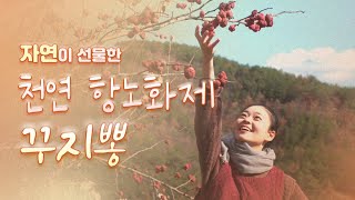 [숲속 & 식탁] 열 번째 식탁 Ep.10 자연이 선물한 천연 항노화제 `꾸지뽕`