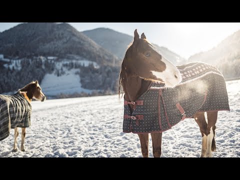 Winter at Private Luxury Chalet Purmontes