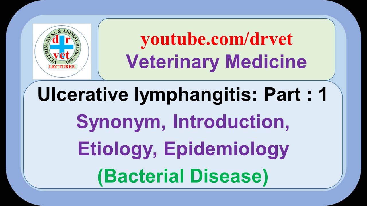 Ulcerative lymphangitis Part 1 : synonym, introduction, etiology, epidemiology