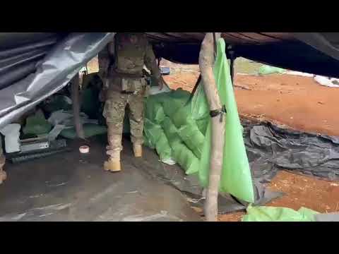 Polícia Federal prende oito suspeitos e destrói plantação de maconha no interior do Piauí