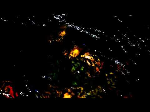 Ozric Tentacles live 1998