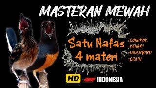 Download lagu Sekali nafas 4 lagu !! MASTERAN MURAI BATU FULL ISIAN TEMBAKAN SUPER MEWAH‼️ mp3