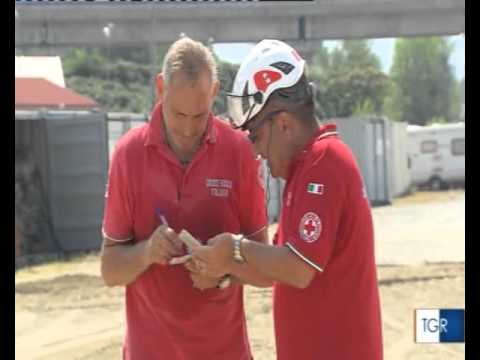 TgR Piemonte - 12 dicembre 2015