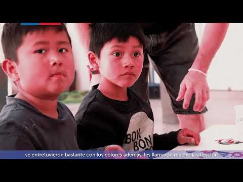 Proyecto "Manualidades y Vida Sana" Maletín Cultural Tarapacá