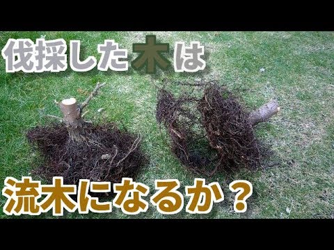 装飾された枯れ木-彫像-妖精-緑-植物