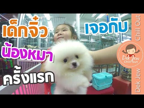 อย่างไรเชื้อโรคม้าผู้หญิง แสดงสมาชิกสาวน้อย
