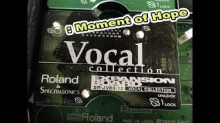 Video thumbnail for ROLAND SRJV8013 VOCAL - DEMO1 by juan manuel