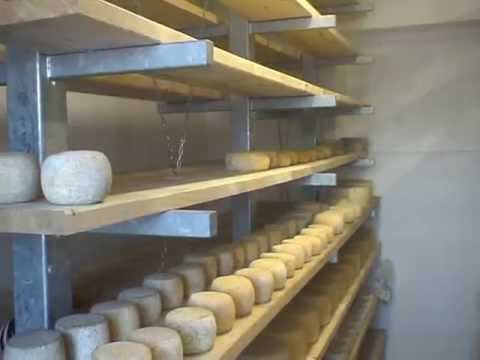 Diesel Dairy Plant + Malgamatic 500 l