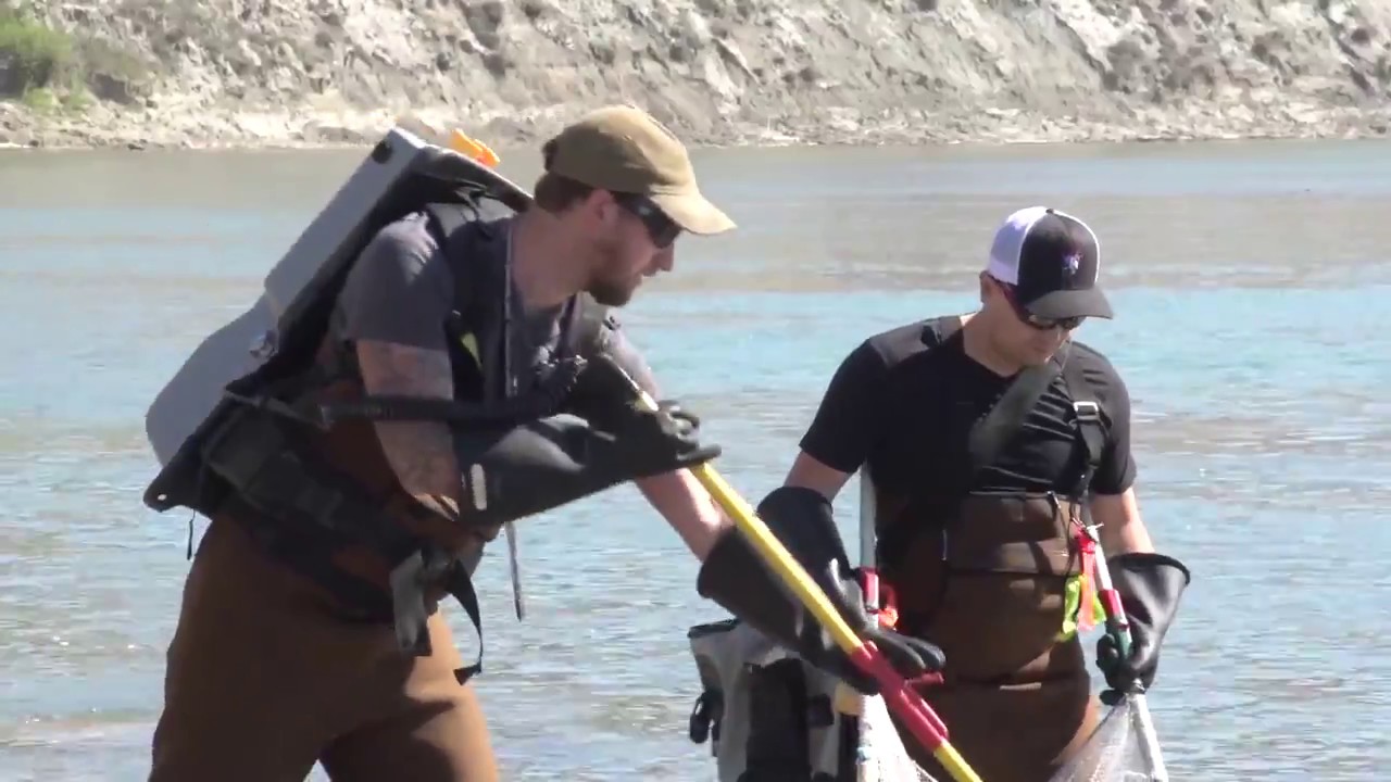 NAIT: Biological Sciences
