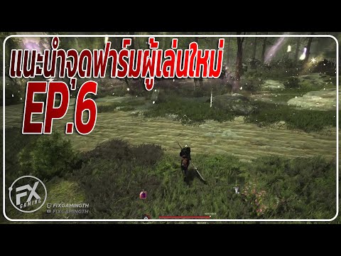 Black Desert Online [ Guide ] แนะนำจุดฟาร์มผู้เล่นใหม่ EP.6