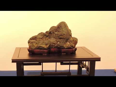 The Best of 20 Years The Trophy Suiseki Stone Displays