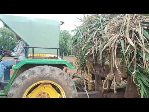John Deere 5105 Sugarcane load.