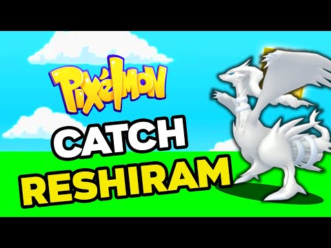 How to Find RESHIRAM in PIXELMON Reforged 9.1.13!