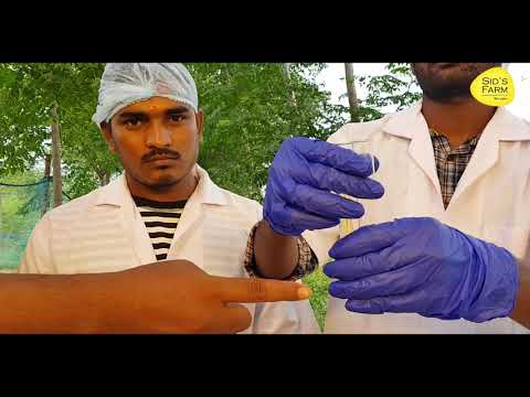 Salt Test for Milk Hindi