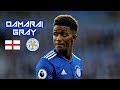 Demarai Gray 2018-2019 - Amazing Skills Show - Leicester City