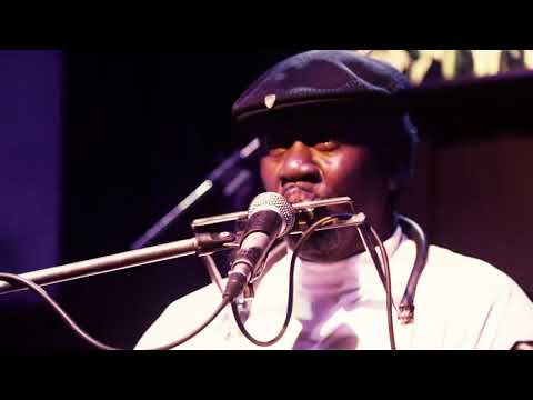 Terry Harmonica Bean & Jelly Roll Boys - Live in Argentina 2016