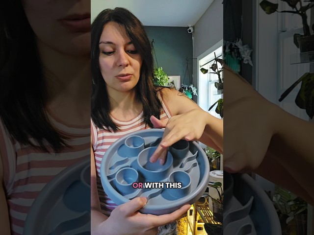Vídeo relacionado con la terra viaja conoce explora+puzzle cat (Viaja, conoce, explora Cuadrado)