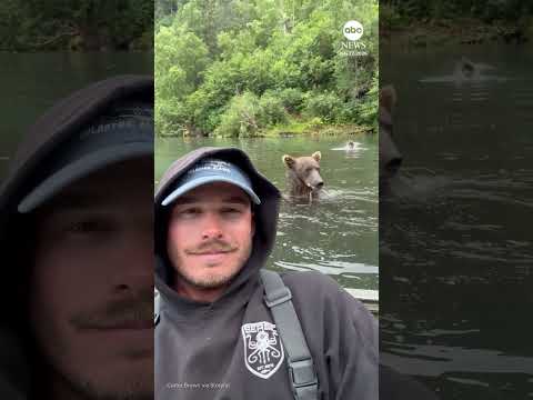 Grizzly bear chows down right next to fishing guide