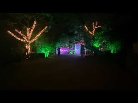 Wedding Planner portfolio by Do My Events Production in Nashik - Photo 3