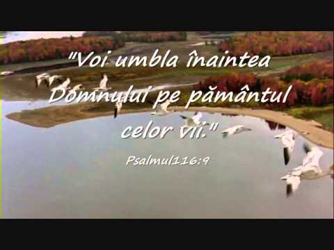 Minunat este Dumnezeu