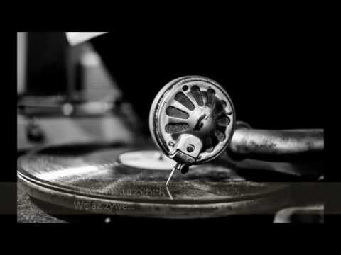 Dawid Murzynek - Wciąż żywe...