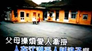 鴨印翻唱 想厝的人