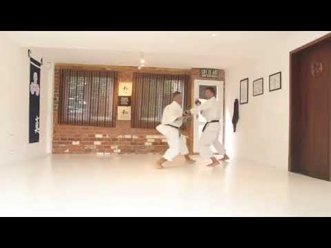 Karate Jutsu Sparring