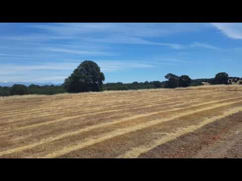 Lot 63 - Sunset Hills, Cottonwood, CA