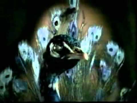 Maganuna house version   Dana International   YouTube