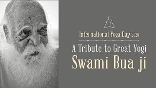 International Yoga Day: 21 June 2020 | A Tribute to Great Yogi