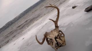 Just like You Imagined