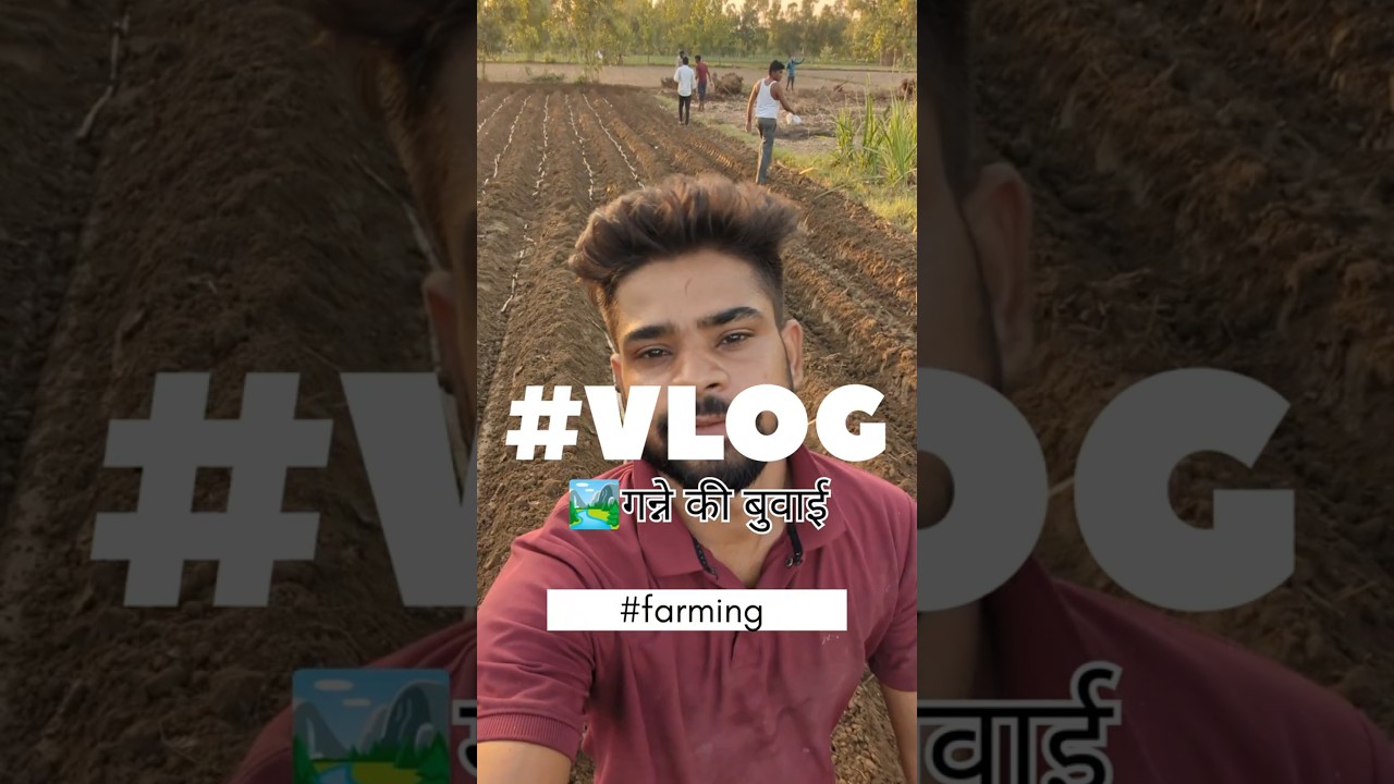 आज पुराने dost मिलगाए 🤝 #minivlog #farming #trending #viral  #back2home