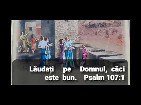 Paza spune. Cintarea 308