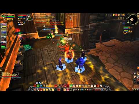 MOP - Protection Paladin - Twin Peaks 5.0.4