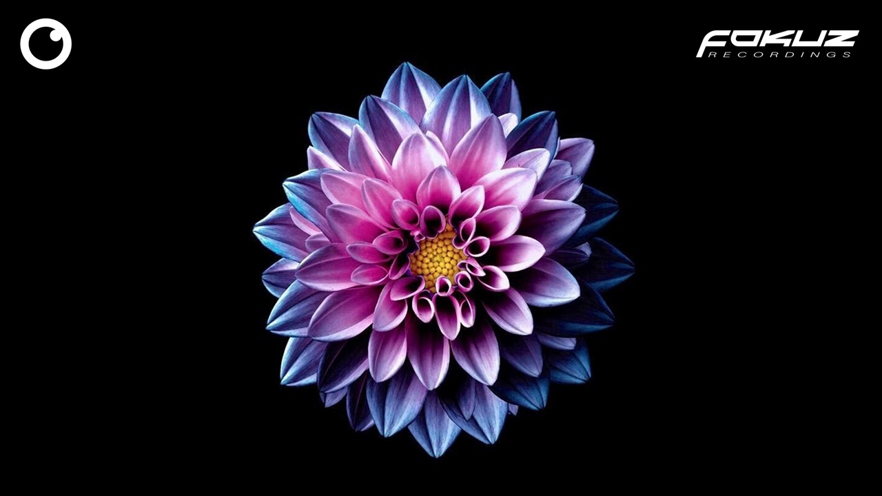 Retrospekt - Memories