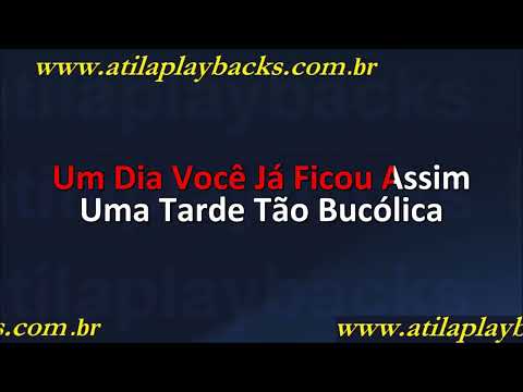 O Espirito Da Coisa   Ligeiramente Gravida