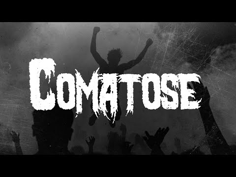 Skillet - Comatose / Lyrics