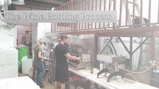 Larue Winery (vineyards), Lewisville, Texas