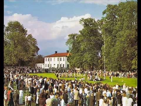 Sandvikens Orkesterförening - Snickar Anders