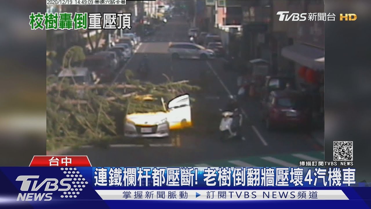 連鐵欄杆都壓斷！　老樹倒翻牆壓壞4汽機車